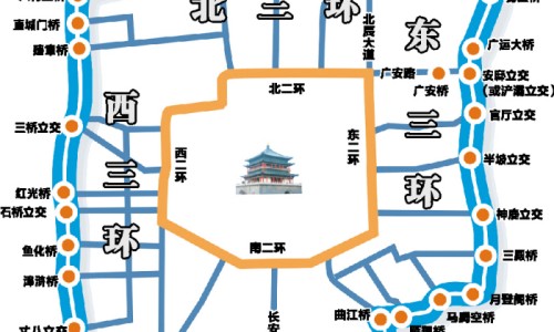 【沙棘的作用和功效】沙棘的作用和功效与作用 - 沙棘的作用与功效与作用网